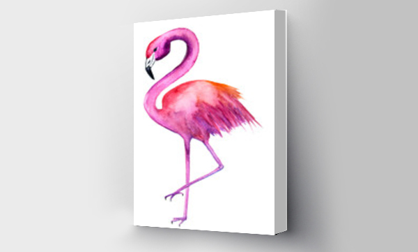 flamingi