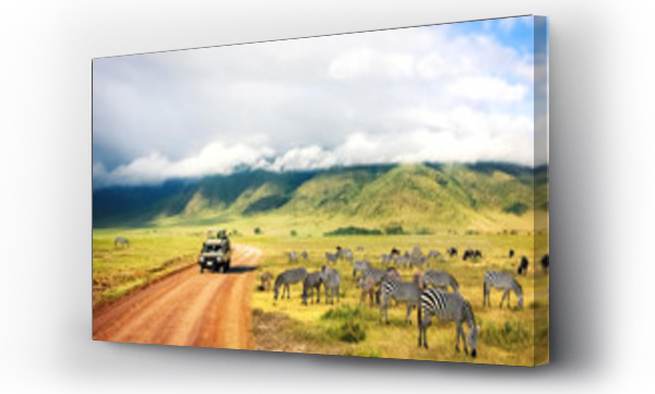 Dzika natura Afryki. Zebry na tle gór i chmur.  Safari w parku narodowym Ngorongoro Crater. Tanzania.