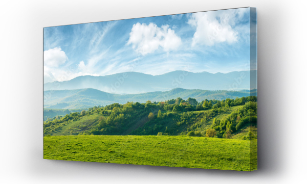 panorama pięknej wsi rumunia. słoneczne popołudnie. wspaniały wiosenny krajobraz w górach. trawiaste pole i falujące wzgórza. wiejska sceneria