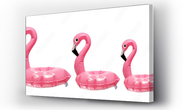 flamingi