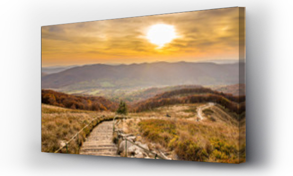 bieszczady, góry karpaty, zwierzęta