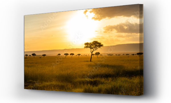 Panoramiczny widok na Masai Mara podczas zachodu słońca