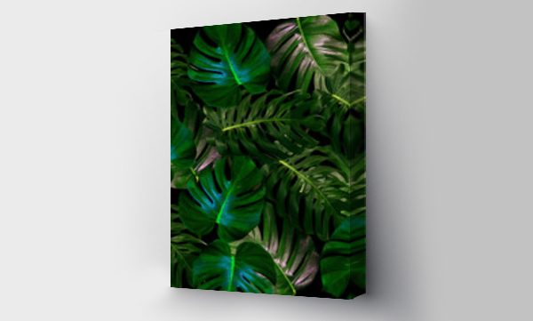 monstera