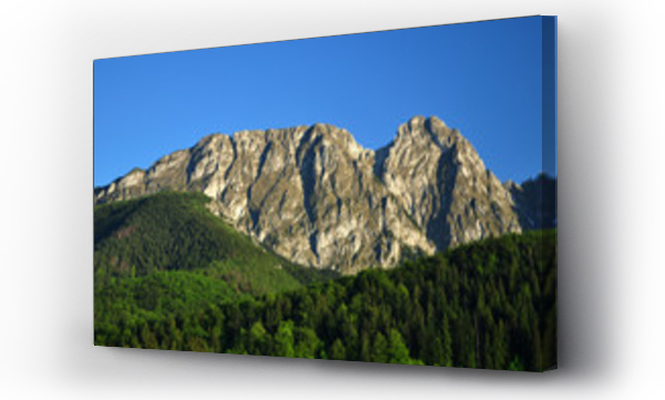 Giewont, górskie, góry, las, Tatry, Tatry Wysokie