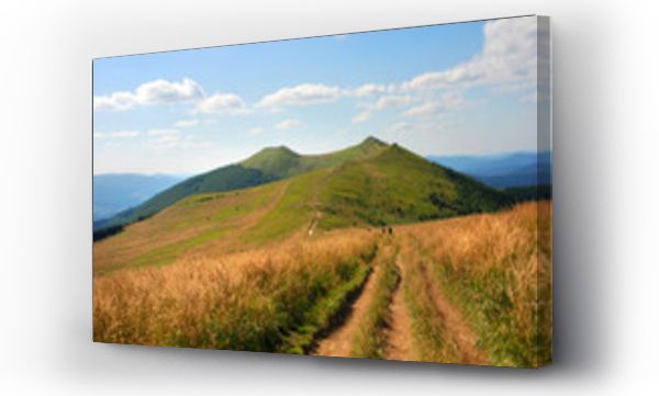 bieszczady, pejzaż