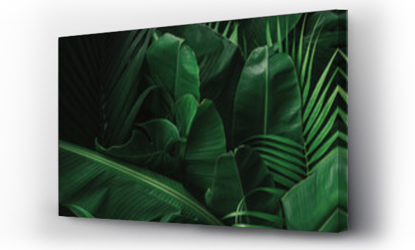 monstera