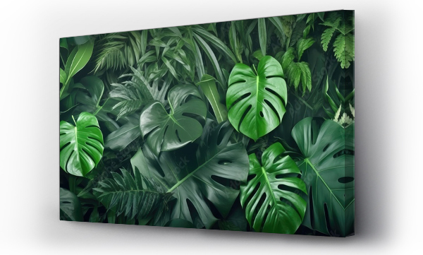 monstera