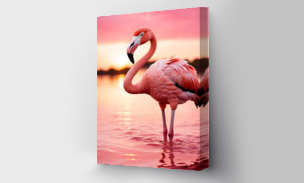 flamingi