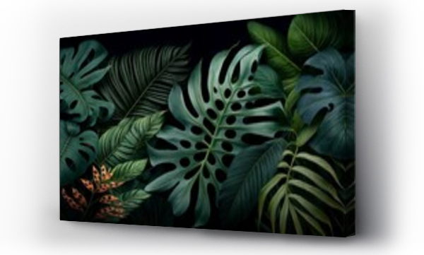 monstera