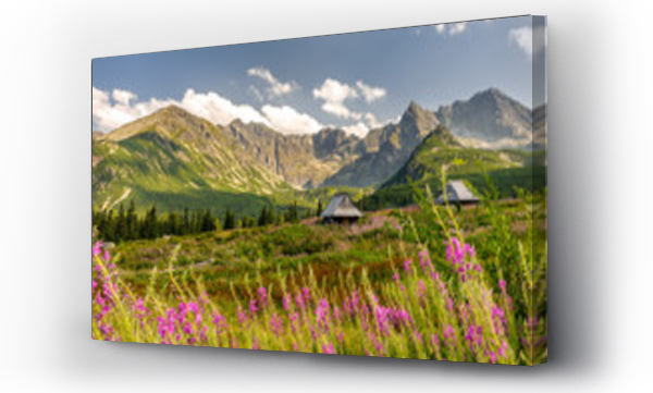 Polskie Tatry Hala Gąsienicowa