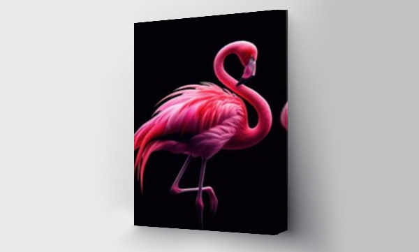 flamingi