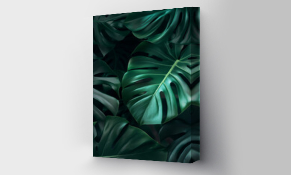 monstera